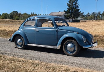 VW Käfer 31.000 km 19.500 &euro; Taunusstein 65232