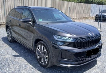 Skoda Kodiaq 29.684 km 40.280 &euro; Rüsselsheim 65428